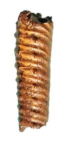 moreanum flanc