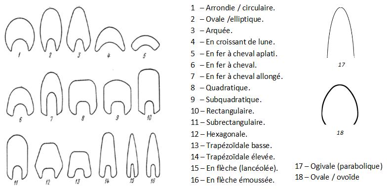 section-3